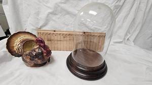 Domed Display and Turkey Planter