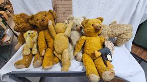 Vintage Teddy Bear Lot-Most are Jointed