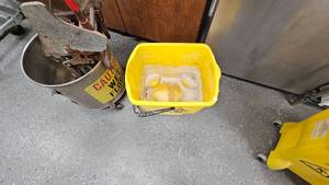 Pair of Mop Buckets as Pictured