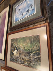 Canada Geese Photo & Blaylock Print