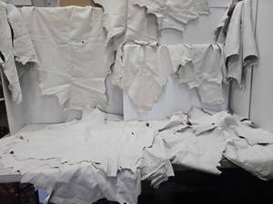 6 LARGE Pieces of White Tanned Leather&nbsp