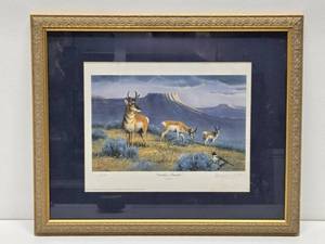 Framed Signed Numbered ARTIST PROOF Print by Les Kouba - Antelope Paradise
