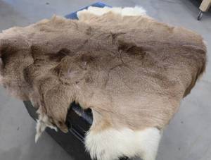 DEER HIDE