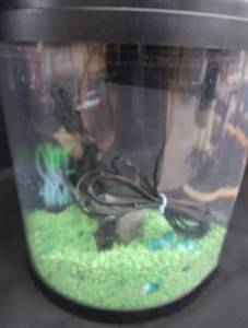 FISH TANK  TERRARIUM