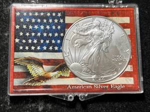 2024 AMERICAN SILVER EAGLE 1 TROY OZ .999 FINE SILVER IN CASE