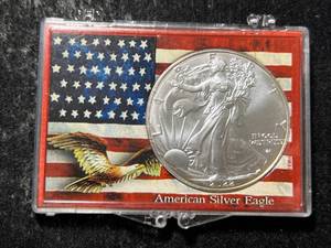 2022 AMERICAN SILVER EAGLE 1 TROY OZ .999 FINE SILVER IN CASE