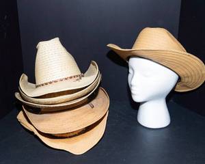 Set of 6 Straw Hats  Assorted Styles
