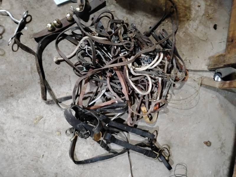 Large assortment of Horse Tack