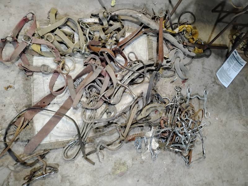 Large assortment of Horse Tack