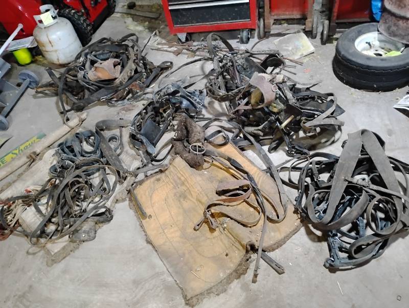 Large assortment of Horse Tack