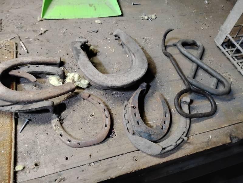 Assortment of Horse shoes