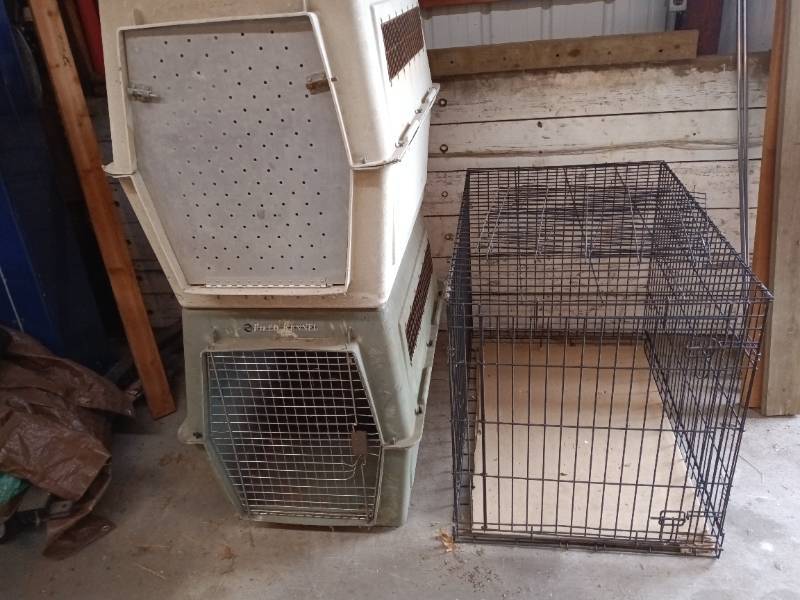 3 Large Dog Kennels