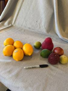 Farmer Green Faux Lemons & Vintage Beaded Frosted Fruit Decor Lot