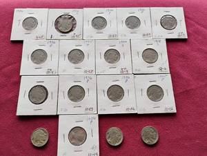 (17) Buffalo Nickels