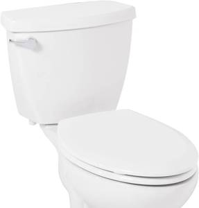Signature Hardware 447329 Toilet Seat