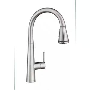 Edgewater Pull-Down Faucet with SelctFlo SS