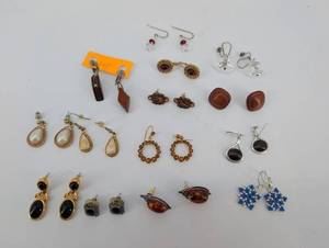 Assorted Earrings (Lot of 14)