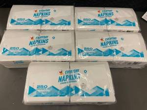 Everyday Napkins Strong & Absorbent 1-Ply 250-Count 12x12 In (Lot of 5)