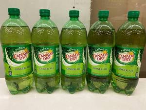 PLST 3 - Canada Dry Ginger Ale 1 L Bottles (Lot of 5)