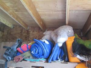 Content on shelf to include life ja...