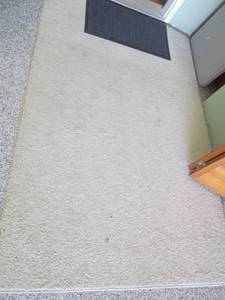 6ft area rug eith 2ft wide entry r...