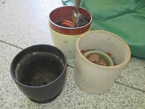 Stoneware and plastic. outdoor plan...