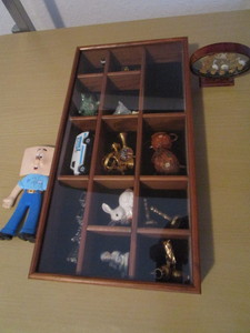 Shadow Box with contents 7 �� x 1...