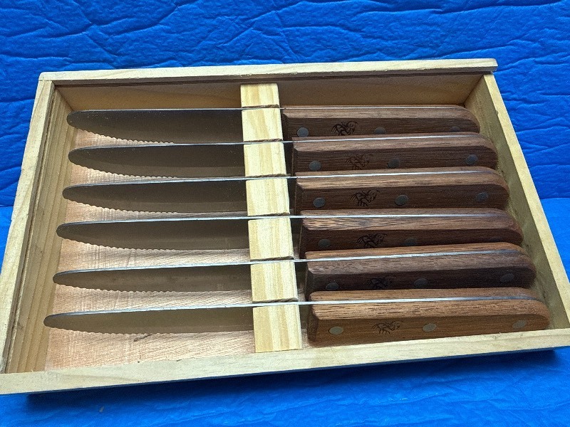 6pc Argentinian Steak Knife Set w Wood Handles & Storage Box  Serrated Blades
