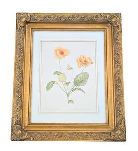 ML - Patricia M. Wittman Viola x Wittrockiana Pansy Fine Art Print in Gold Frame