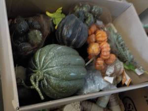 Box of Fall Dcor...