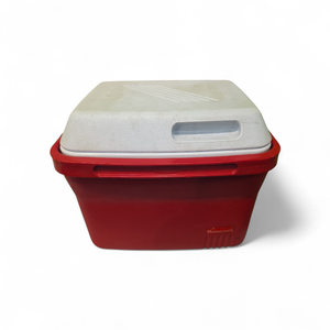 Small Lunchbox Size Cooler