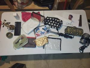 Sanguine BeardHair Liner Tool and Assorted Cosmetic Bags & Accessories