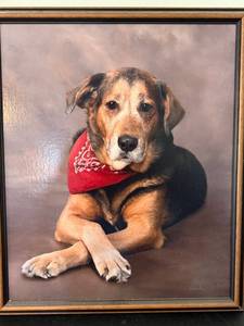 Framed Dog Portrait Wall Art Print Signed Lower Right 22x28 Good