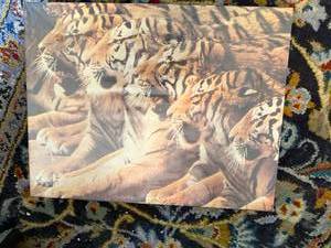 Another View Tiger Jigsaw Puzzle Everyone Smile 500 Pc Sealed