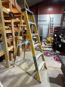 6 Fiberglass Ladder