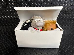 international beanie babies in Box with Coca-Cola Bottle Accessory & Union Jack Patches