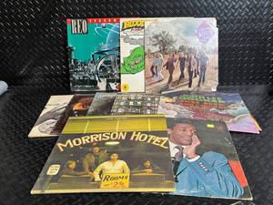 Classic Rock Vinyl LPs Collection The Doors Morrison Hotel, Led Zeppelin II, REO Speedwagon, Lynyrd Skynyrd