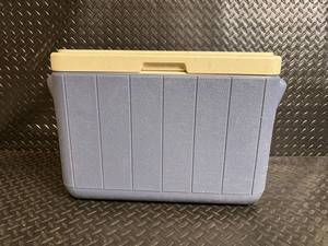 Plastic cooler with Lid - 18 in Long