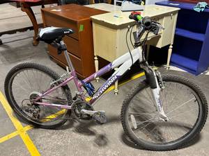 Schwinn Ranger 24 Mountain Bike - Shimano Tourney 21-Speed