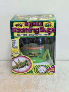 NEW BIGBAD BOOMING BUGS ELECTRONIC OBSERVATION STATION