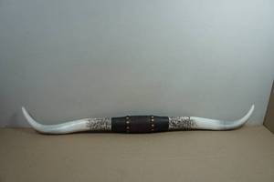 Resin Texas Longhorns - 40