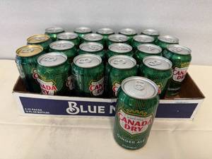 12oz Cans Canada Dry Ginger Ale