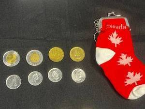 Canadian Toonie Coins & Maple Leaf Keychain (Lot of 9)