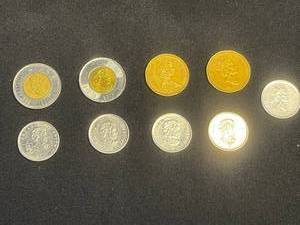 Toonie Coins Queen Elizabeth II (Lot of 9)