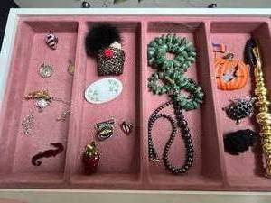 925 Turtle Pin & Costume Jewelry Pins & Brooches Mixed Lot - drawer not inc
