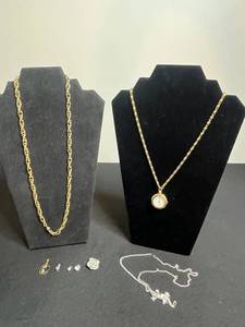 Jewelry Lot - Anne Klein II Necklace, Pendants & Pins