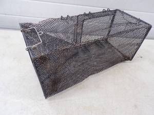 Minnow Trap