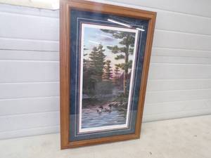 Wildlife Framed Print