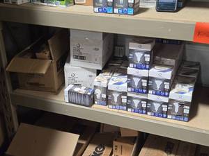 Lot of (12 Shelf) LED Bulbs (assorted)