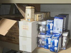 Lot of (12 Shelf) LED Bulbs - Screw-In and Plug-In (assorted)